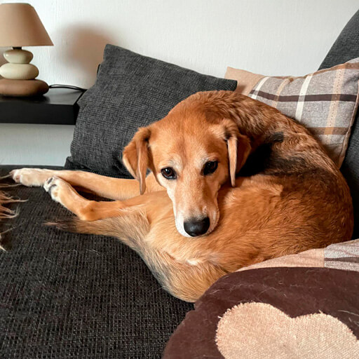 rusty